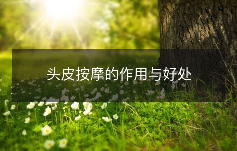 头皮按摩的作用与好处 头皮按摩的作用与好处