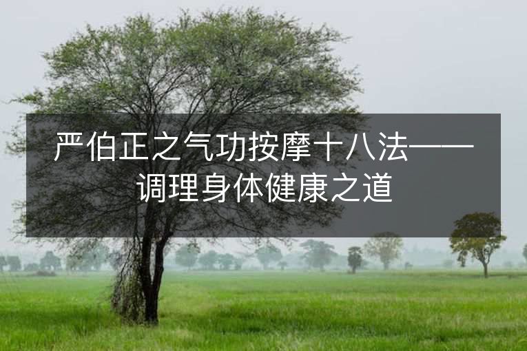 严伯正之气功按摩十八法——调理身体健康之道 严伯正之气功按摩十八法——调理身体健康之道